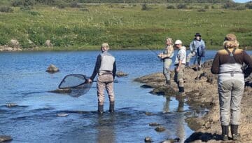 Langá 19-21.9 á tilboði