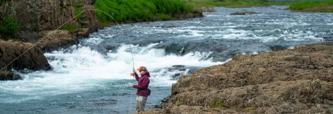 Skráðu þig í SVFR