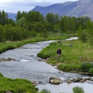 Efri Korpa 01.07.26 eh