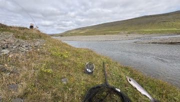 Draumabyrjun á fluguveiðiferlinum í Miðá