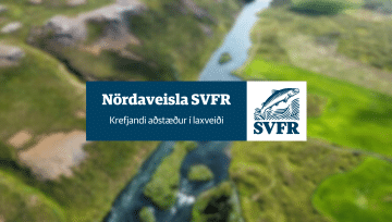 Nördaveisla SVFR - 26. mars á Brasa