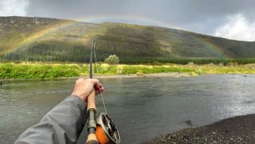 Sandá í Þjórsárdal lifnar við!