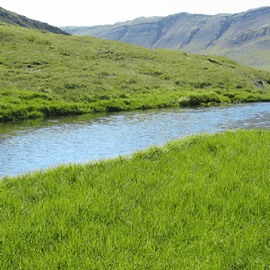 Gufudalsá 30.08.2026-01.09.2026