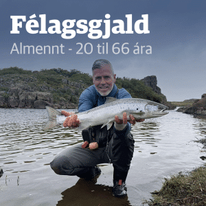 Félagsgjald 20-66 ára 2026