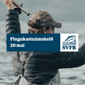 flugukastnámskeið 20 maí