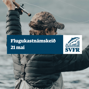 flugukastnámskeið 21 maí