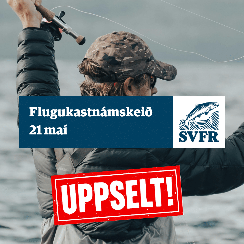 Kastnámskeið einhendu 21 maí